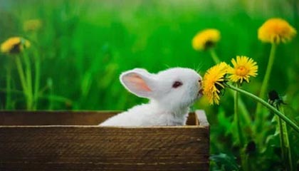 温岭最新的高价医保卡惠民保险代扣怎么取消掉了方法分享(温岭惠民医保怎么报销教程)